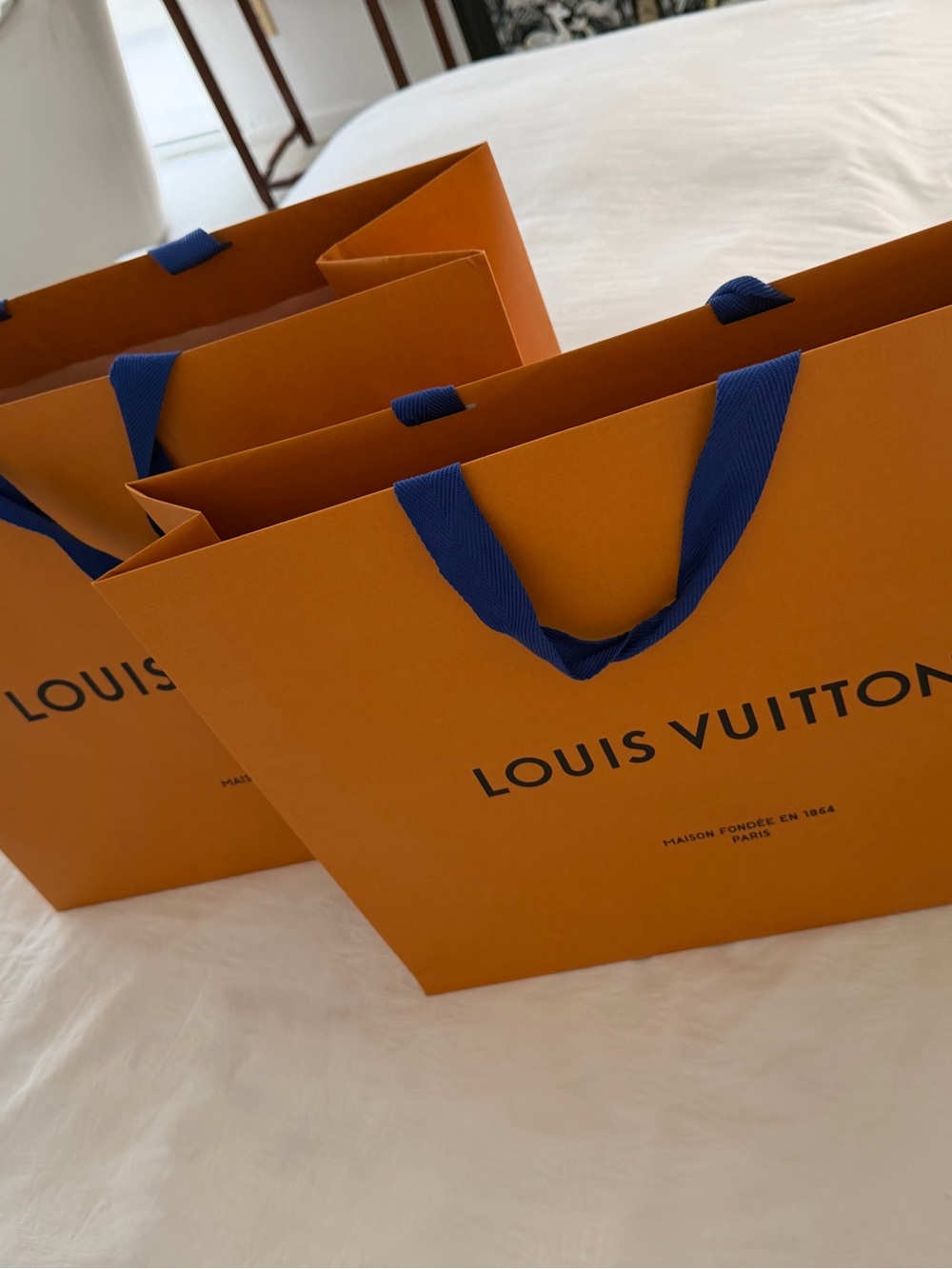 Men Bags Subcategory Identification - Picture 8 of 8